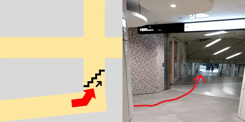 左に曲がると階段が見えます。